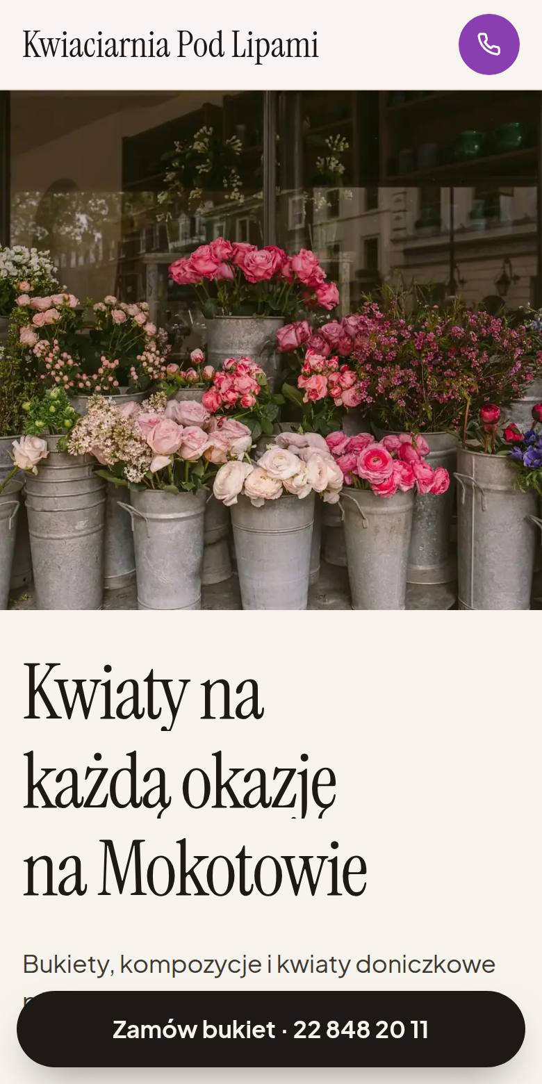 Przykładowy podgląd strony dla branży: sklepy stacjonarne (dane fikcyjne)